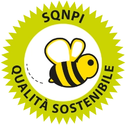 SQNPI logo