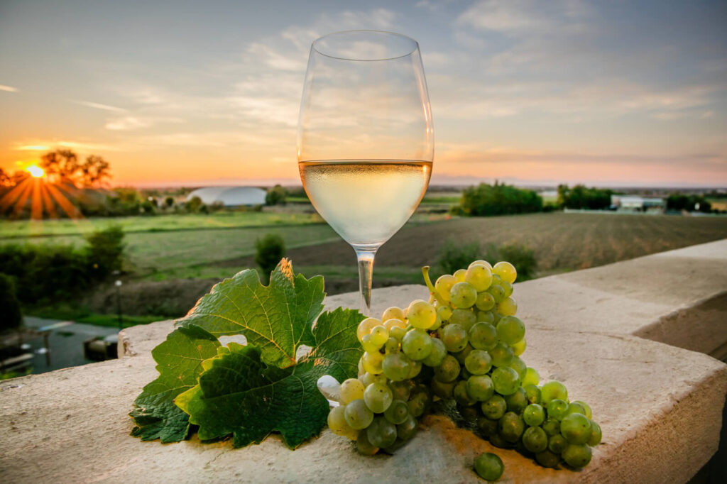 Bicchiere di vino Bianco al tramonto sull'Oltrepò Pavese