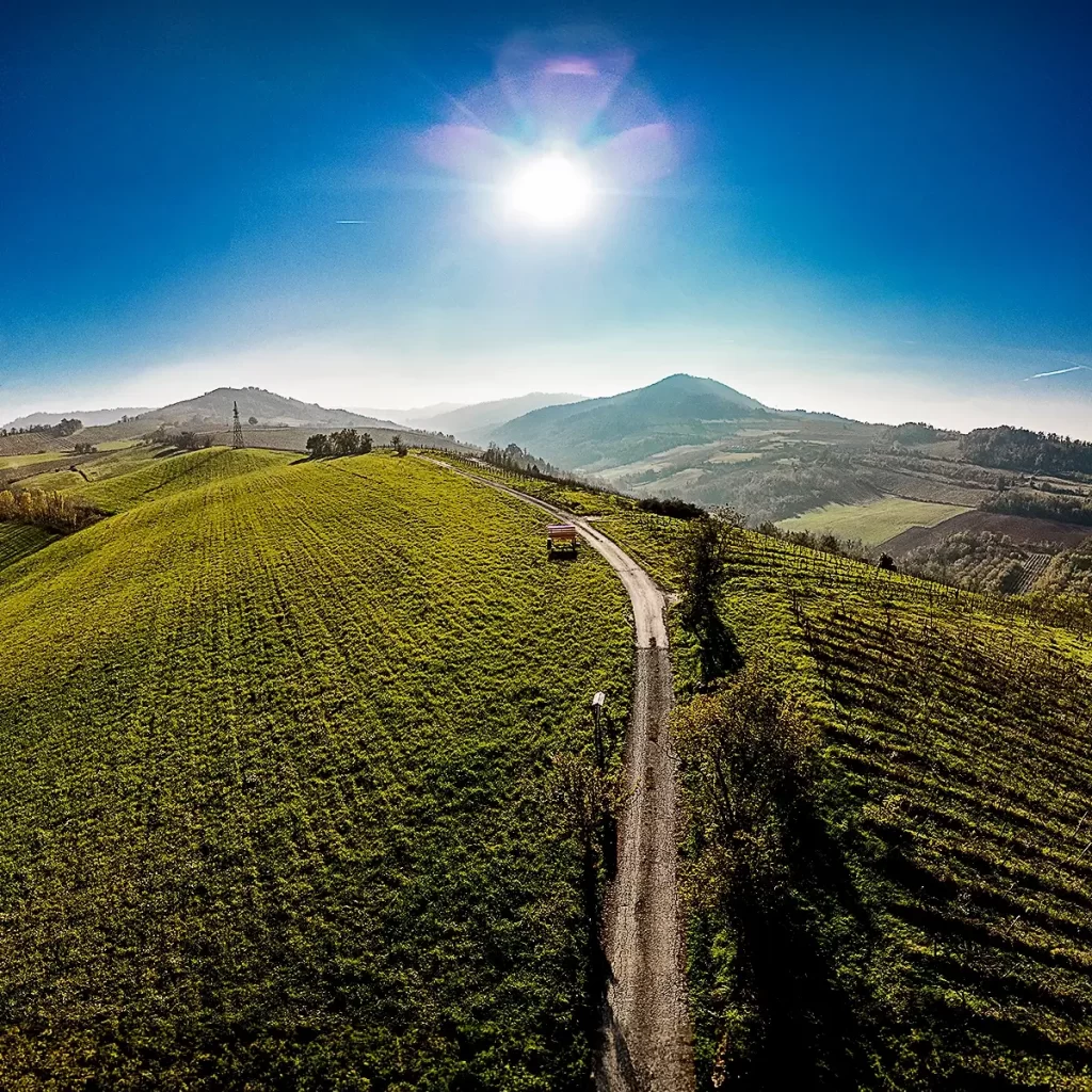 Vista dall'alto delle colline dell'Oltrepò Pavese